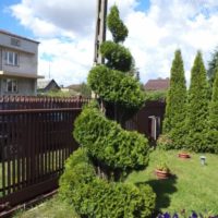 Ogrodnik-Pawel-Realizacje (5)