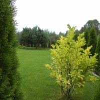 Ogrodnik-Pawel-Realizacje (8)